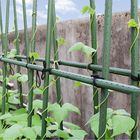Domates desteği çapı 16cm için 4 ayak çelik bahçe kazıkları